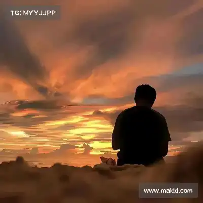 窦恋海